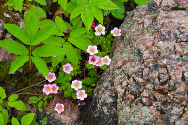 Similar image 15916979