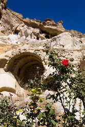 Similar image 15918752