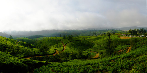 Similar image 15925678