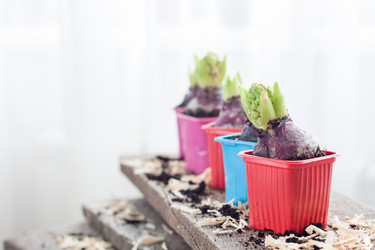 Similar image 15919257