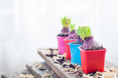 Similar image 15919258