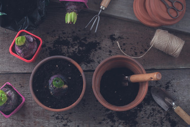 Similar image 15919261