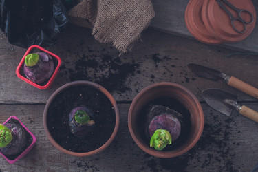 Similar image 15919272