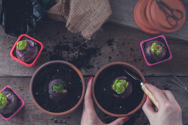 Similar image 15919274