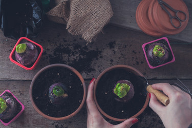 Similar image 15919288