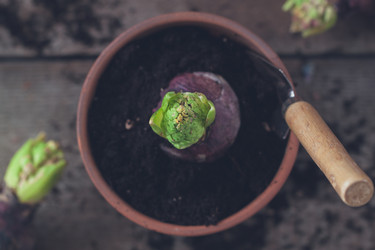 Similar image 15919292