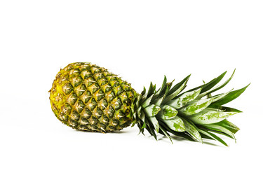 Similar image 15923932