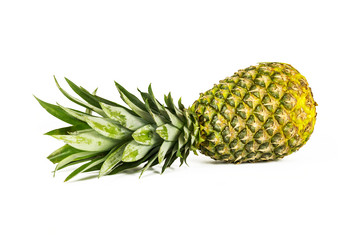 Similar image 15923934