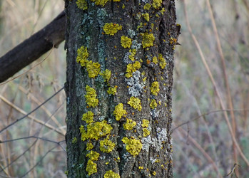 Similar image 15925424