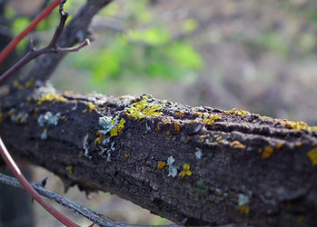 Similar image 15925428