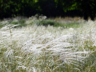 Similar image 15925393