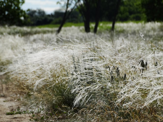 Similar image 15925401