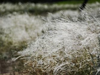 Similar image 15925446