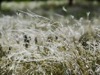 Similar image 15925448