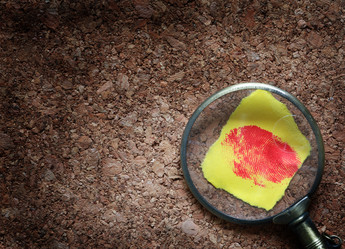 Similar image 15918698