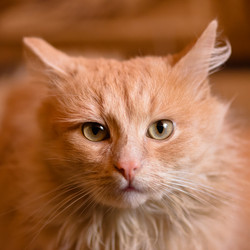 Similar image 15929104