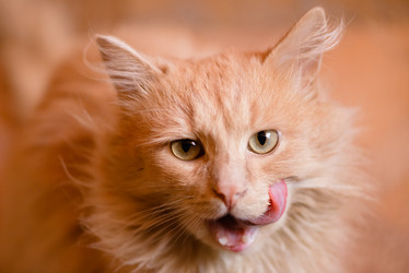 Similar image 15928996