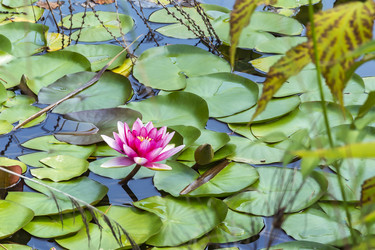 Similar image 15923937