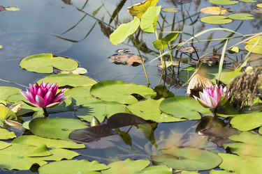 Similar image 15923938