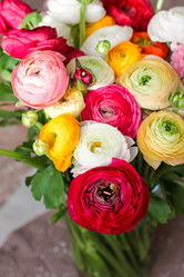 Similar image 15919280