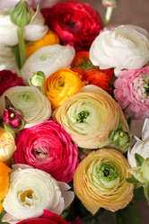 Similar image 15919281