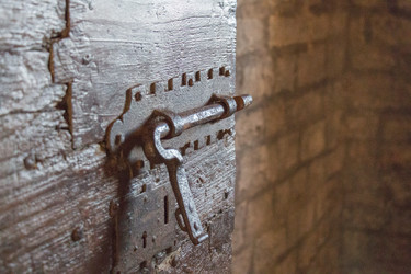 Similar image 15923034