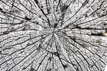 Similar image 15919157