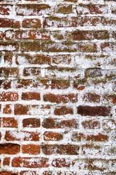 Similar image 15919167