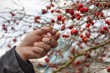 Similar image 15919169