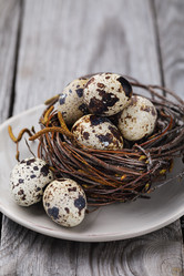 Similar image 15915510