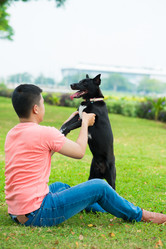 Similar image 16008853