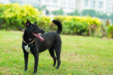 Similar image 16008889