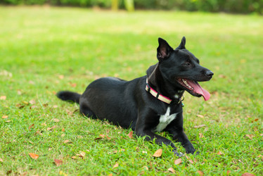 Similar image 16009717