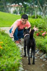 Similar image 16010008