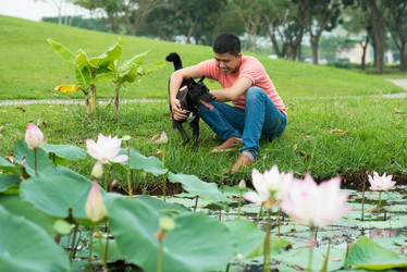 Similar image 16010321