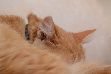 Similar image 15915371