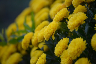 Similar image 15915372