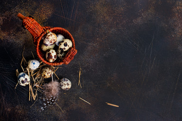 Similar image 15914571