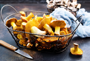 Similar image 15914591