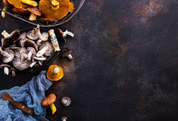 Similar image 15914605