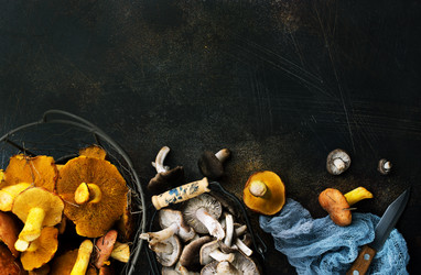 Similar image 15914607