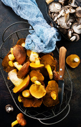 Similar image 15914608