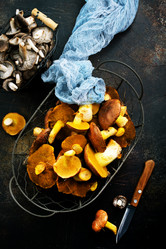 Similar image 15914610