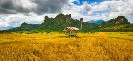 Similar image 15925269