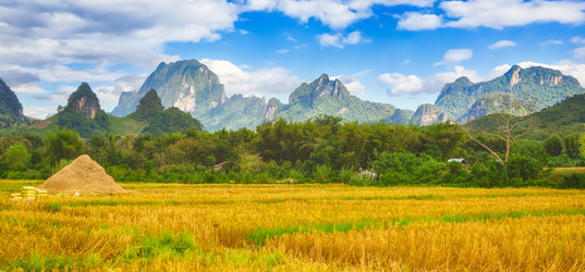 Similar image 15925272