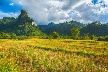 Similar image 15925275