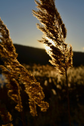 Similar image 15915643