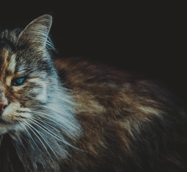 Similar image 15915377