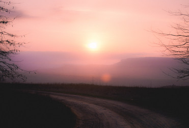 Similar image 15915384