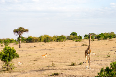 Similar image 15914074